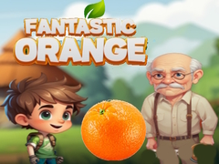 游戏Fantastic Orange