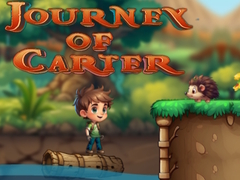 游戏Journey Of Carter