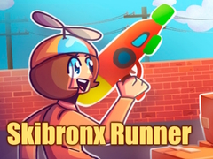 游戏Skibronx Runner