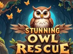游戏Stunning Owl Rescue