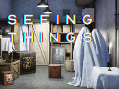 游戏Seeing Things
