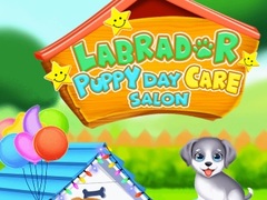 游戏Labrador Puppy Daycare Salon