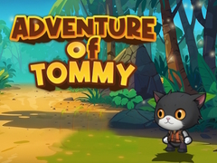 游戏Advanture Of Tommy