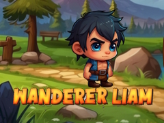 游戏Wanderer Liam