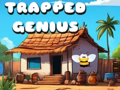 游戏Trapped Genius