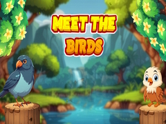 游戏Meet The Birds 