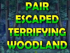游戏Pair Escaped Terrifying Woodland
