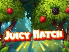 游戏Juicy Match