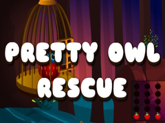 游戏Pretty Owl Rescue
