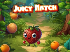 游戏Juicy Match