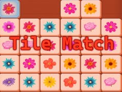 游戏Tile Match