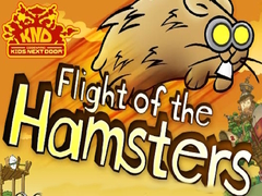 游戏Codename Kids Next Door Flight of the Hamsters