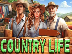 游戏Country Life