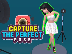 游戏Capture the Perfect Pose 