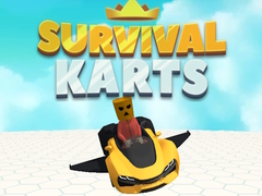 游戏Survival Karts