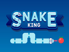 游戏Snake King