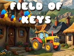 游戏Field of Keys