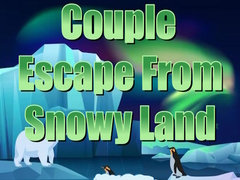 游戏Couple Escape from Snowy Land