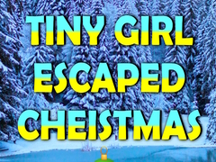 游戏Tiny Girl Escaped Christmas Island