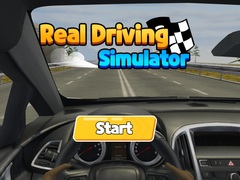 游戏Real Driving Simulator
