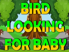 游戏Bird Looking For Baby