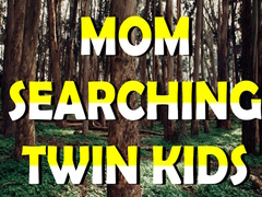 游戏Mom Searching Twin Kids