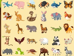 游戏Discover Animals