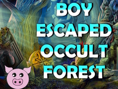 游戏Boy Escaped Occult Forest
