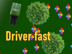 游戏Driver fast