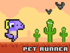 游戏Pet Runner