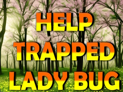 游戏Help Trapped Lady Bug