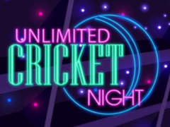 游戏Unlimited Cricket Night