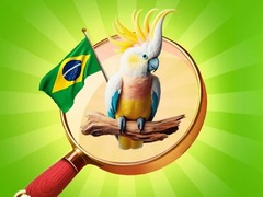游戏Hidden Objects: Vacation in Brazil