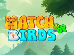 游戏Match Pop Birds