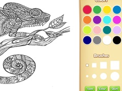 游戏Adult Animal Coloring Book for Kids