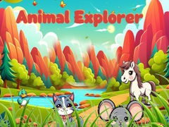 游戏Animal Explorer 