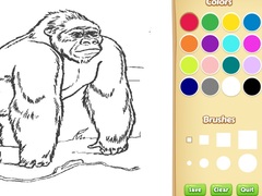 游戏Zoo Animals Coloring Book for Kids