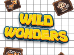 游戏Wild Wonders