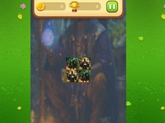 游戏Magic Druid Memory Match