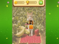 游戏Farm Cat Memory Match