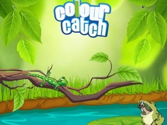 游戏Colour Catch