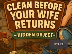 游戏Clean Before Your Wife Returns Hidden Object