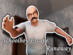 游戏Schoolboy Escape: Runaway