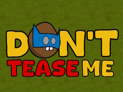 游戏Dont Tease Me