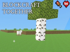 游戏BlockCraft Together
