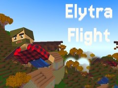 游戏Elytra Flight