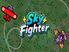 游戏Sky Fighter