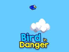 游戏Bird in Danger