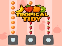 游戏Tropical Tidy
