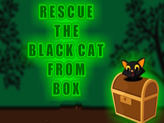 游戏Rescue the Black Cat from Box